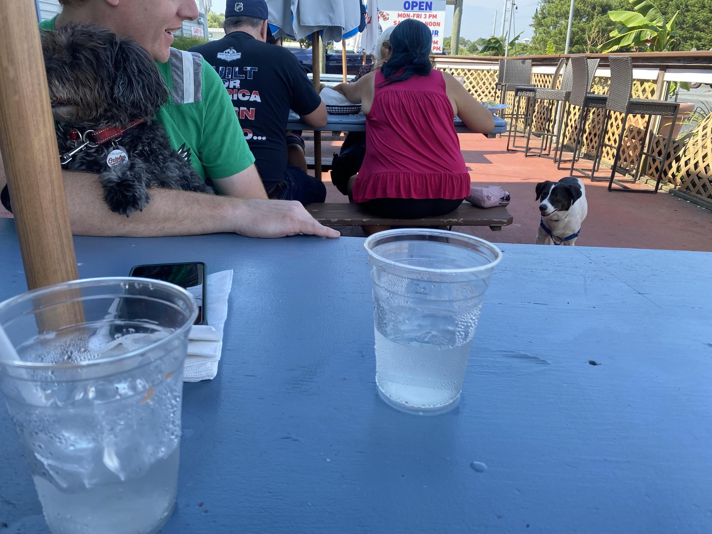 Crab Alley Restaurant Pet Policy