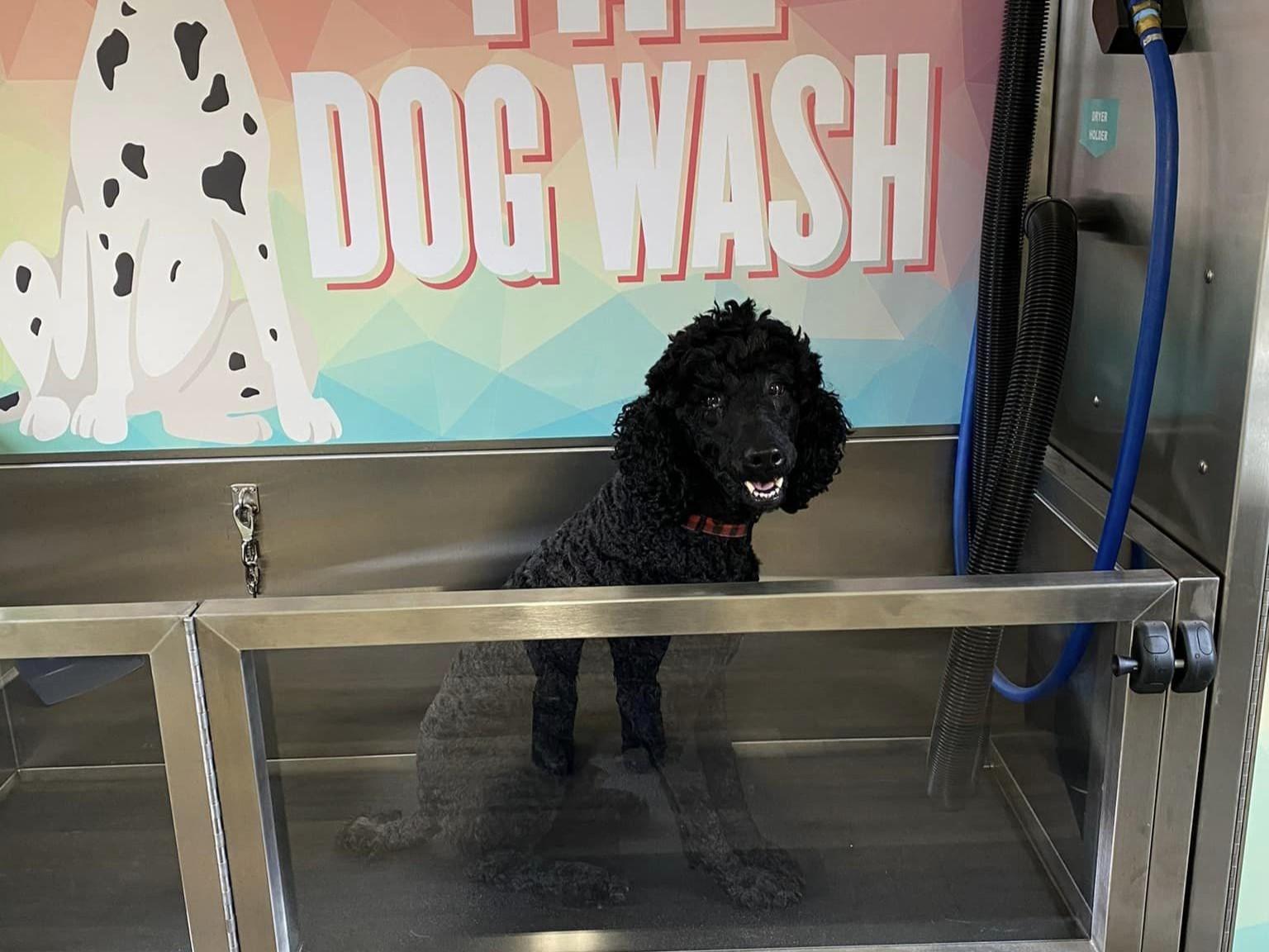 Pet Friendly K's Dog Wash