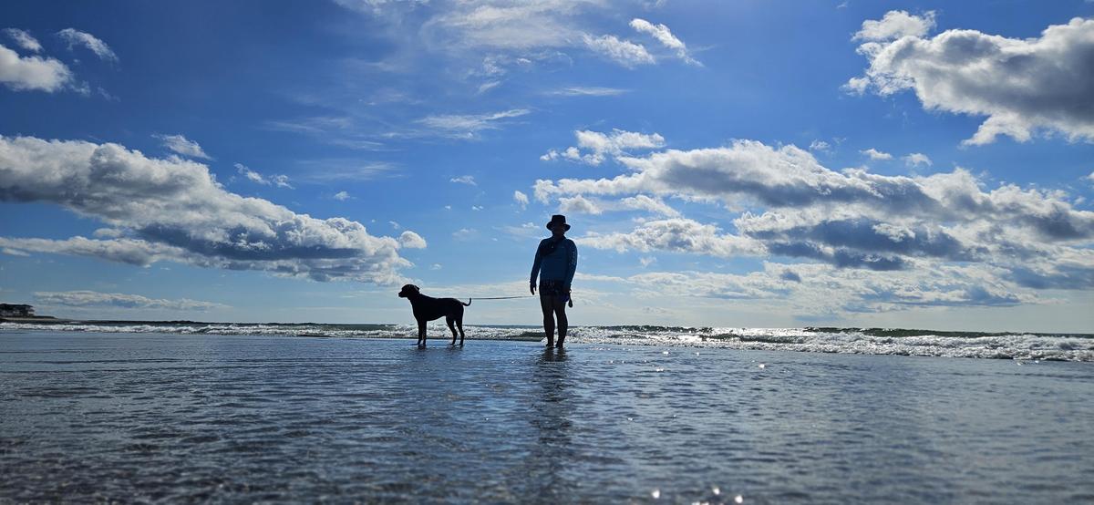 Discover the Best Dog Friendly Beaches in New Hampshire