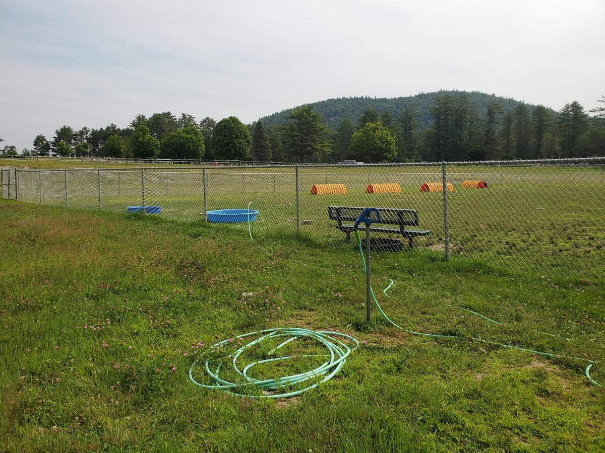 Chestertown Dog Park
