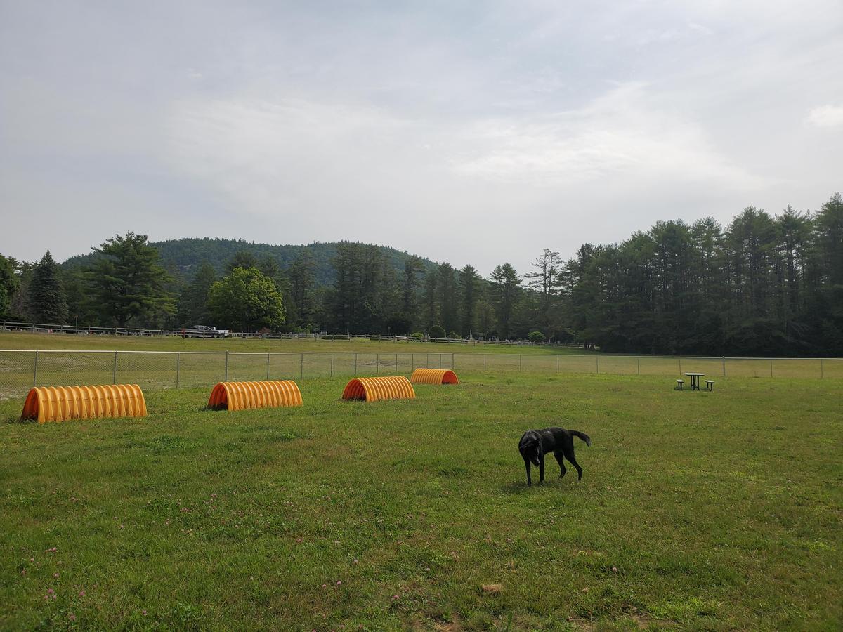 Chestertown Dog Park