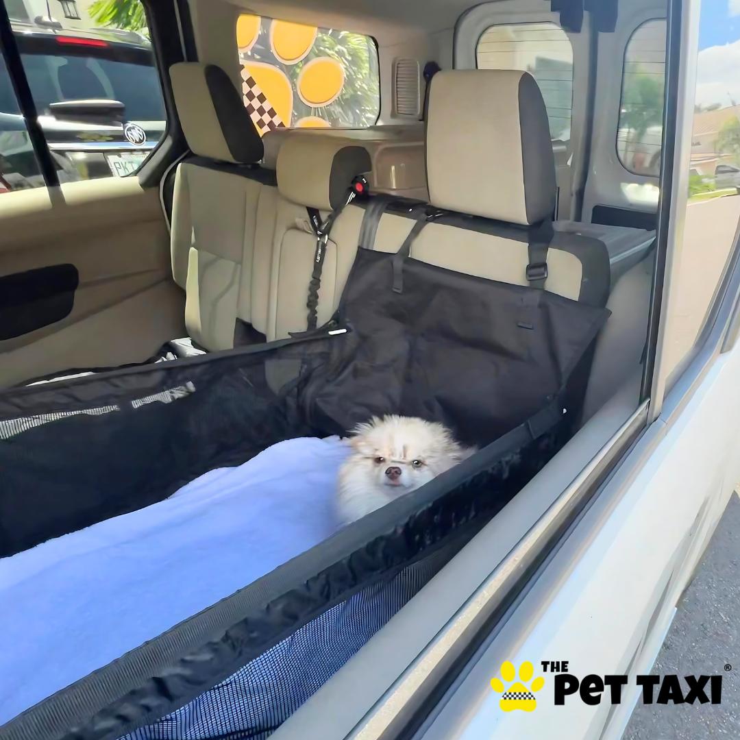 Pet Friendly The Pet Taxi