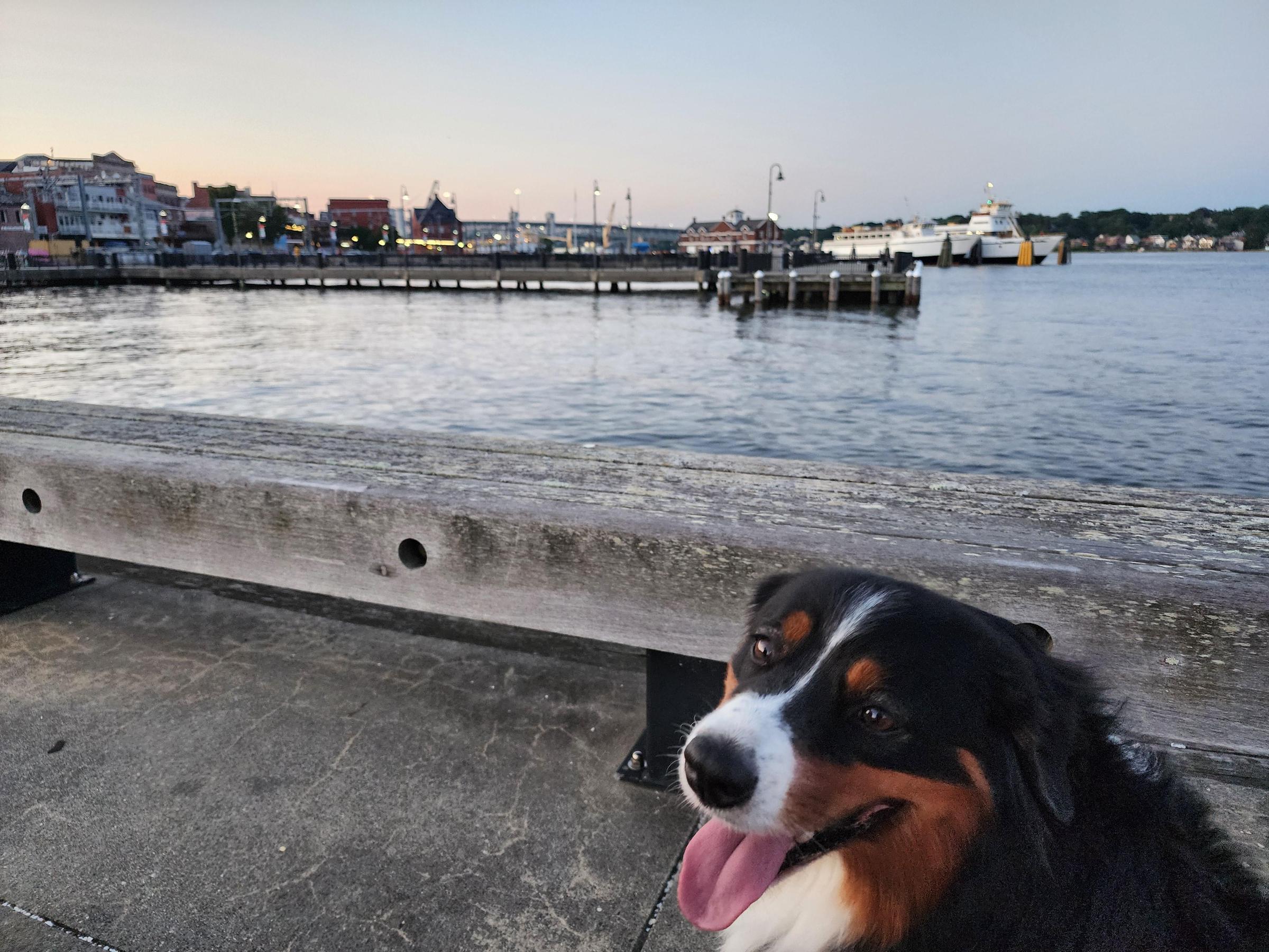 Pet Friendly New London’s Historic Waterfront District