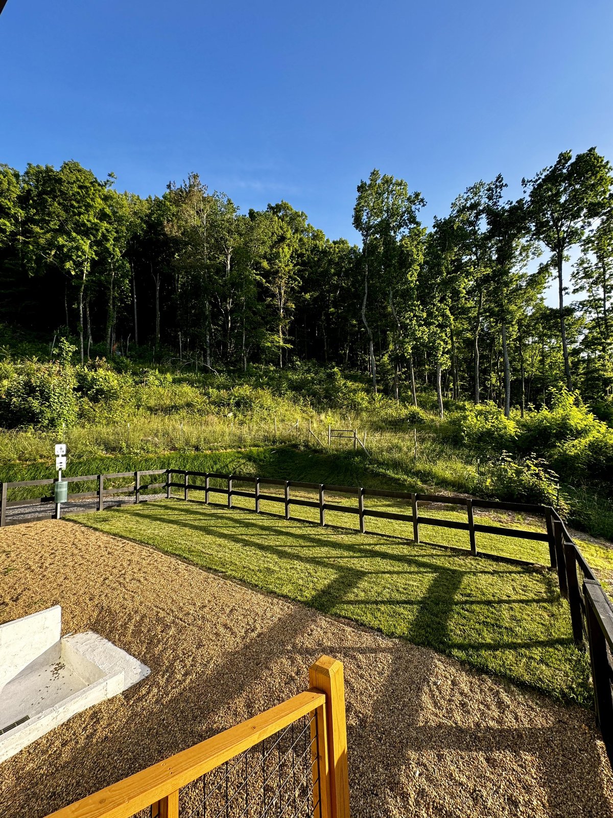 This dog-friendly vacation rental in Swannanoa, NC, features a fenced yard.