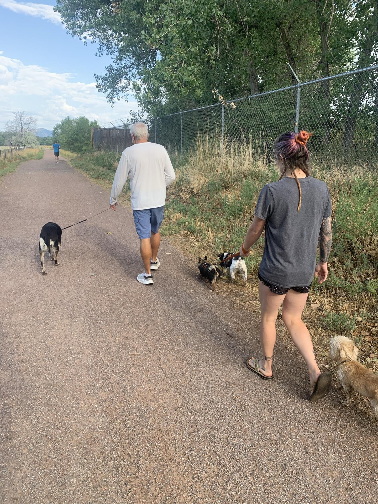 Pet Friendly Coal Creek Trail