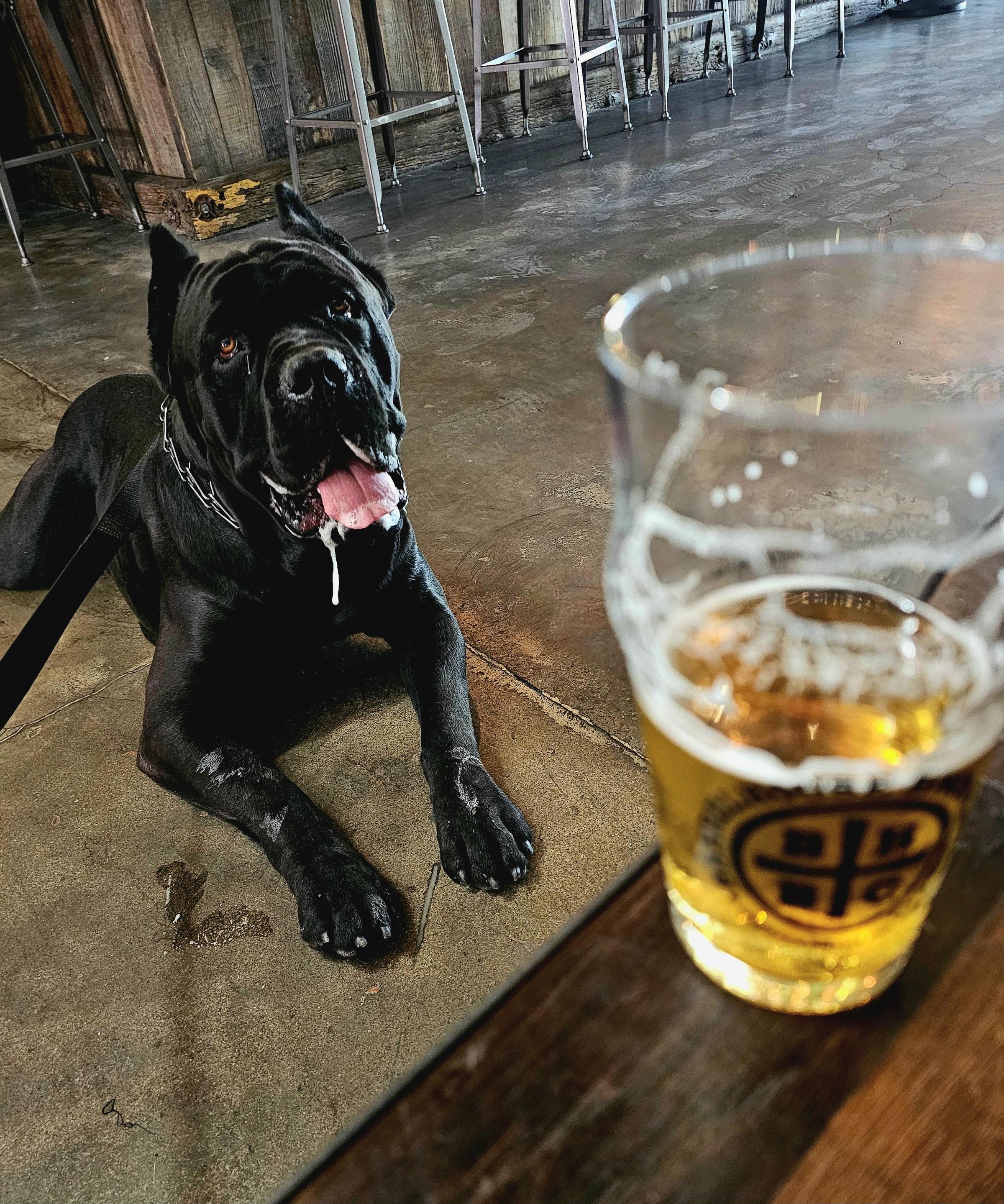 Pet Friendly BarrelHouse Brewing Visalia Taproom and Beer Garden