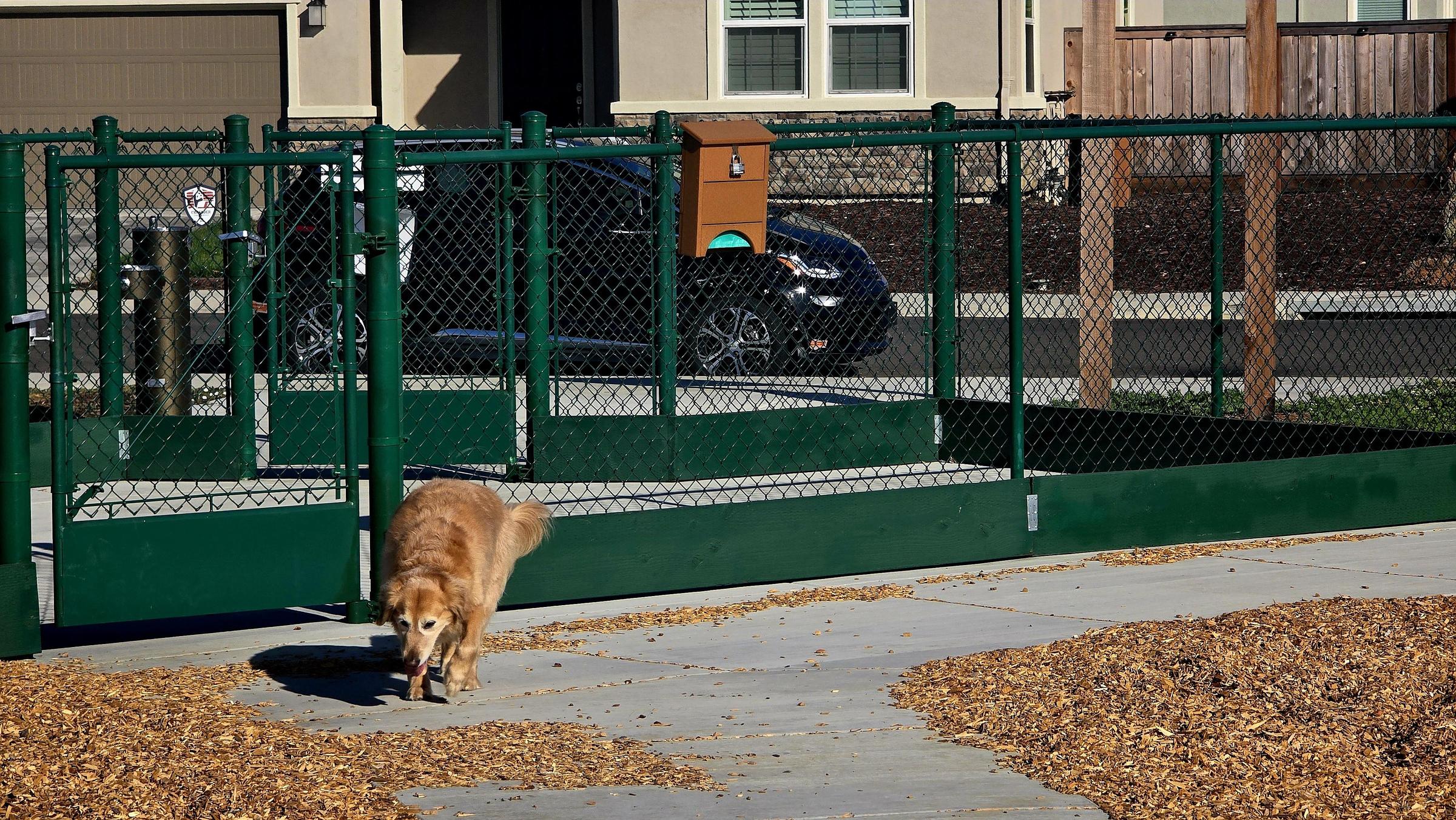 Pet Friendly Owl Off-Leash Dog Park