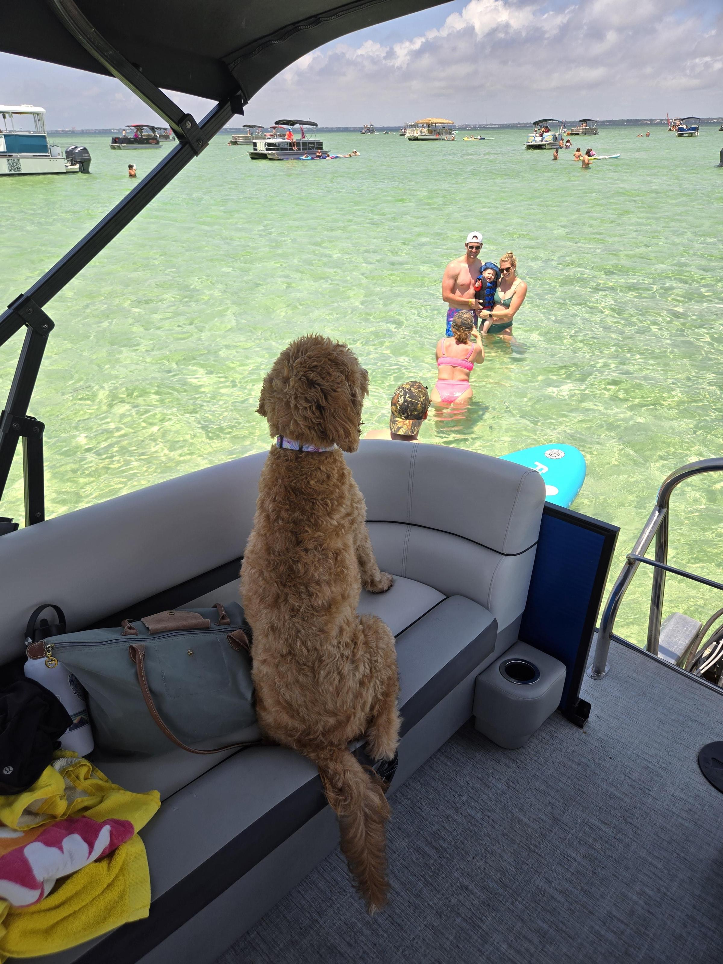 Pet Friendly Endless Weekend Pontoons LLC Private Charter