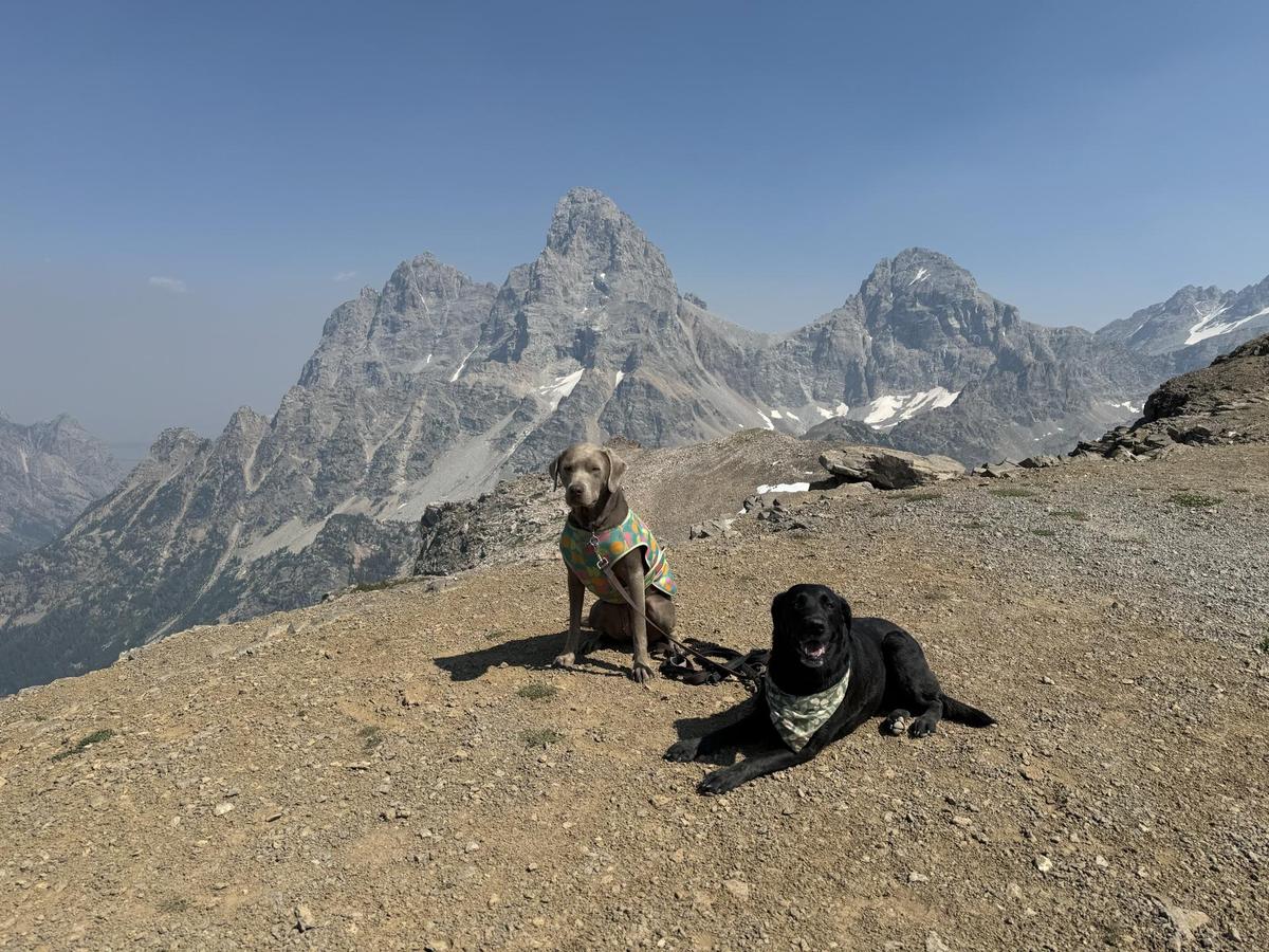 Dog Friendly Hiking Trails in Teton Village WY BringFido