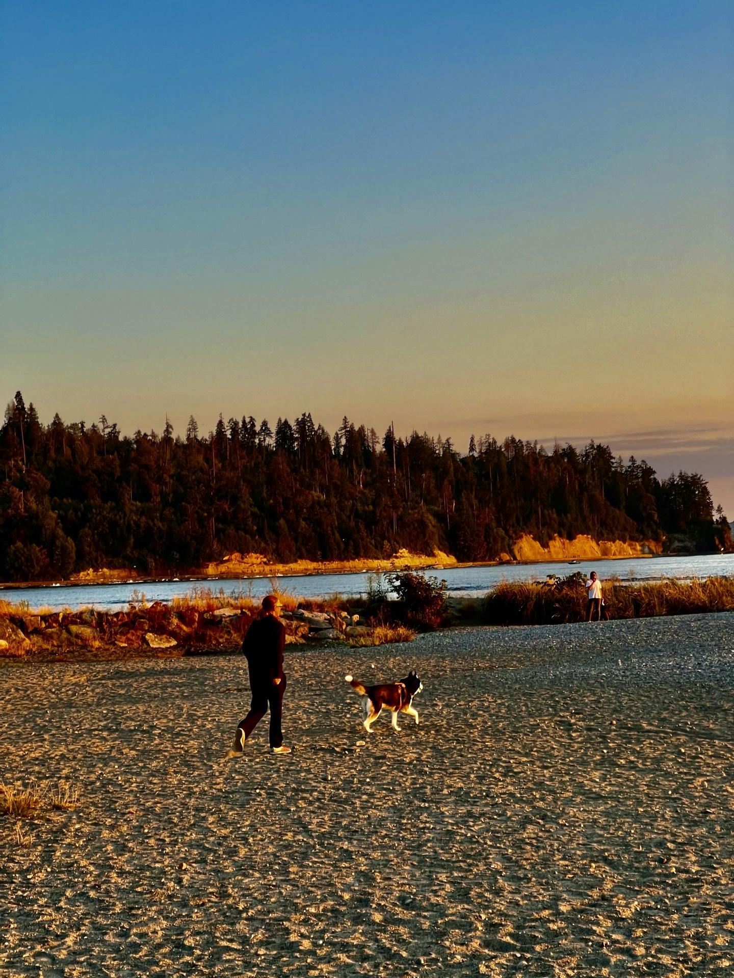Pet Friendly Dog Park at Ambleside Park