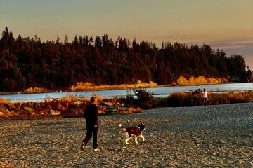Where'S the Nearest Dog Park: Find Fun Spots Fast Today!