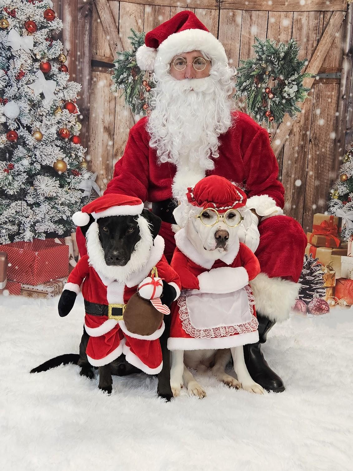 Pet Friendly Santa Paws Photo Fundraiser