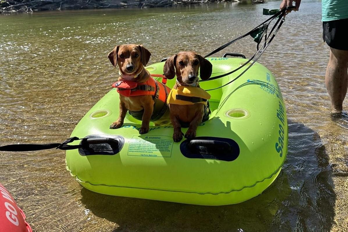 Pet Friendly Saco River Tubing Center