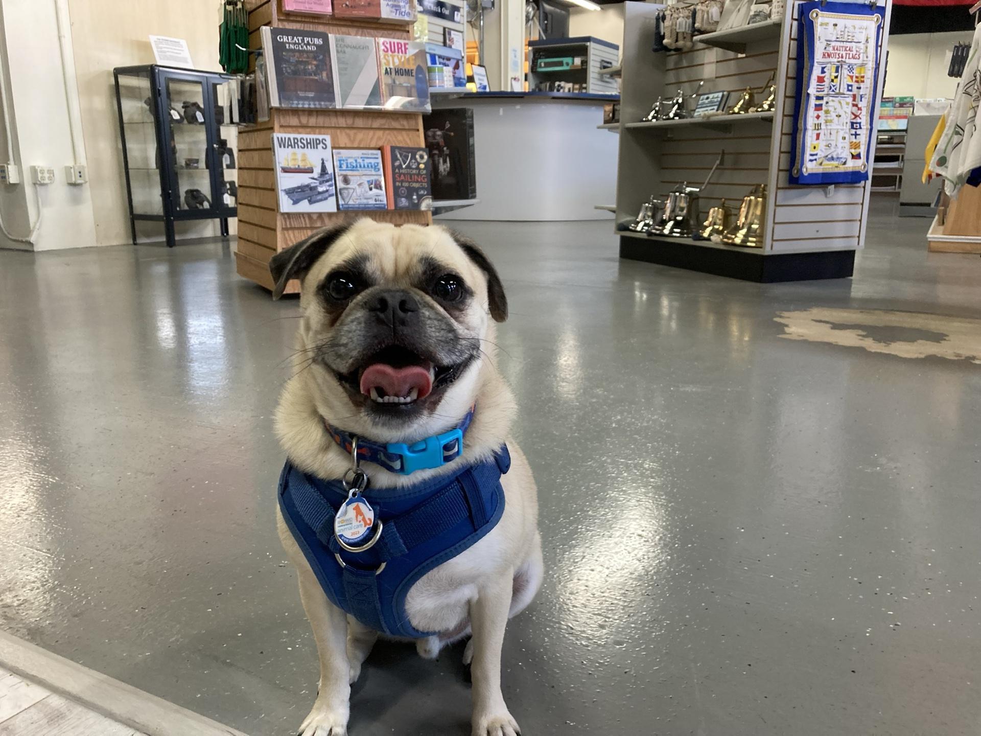 Pet Friendly Bluewater Books & Charts