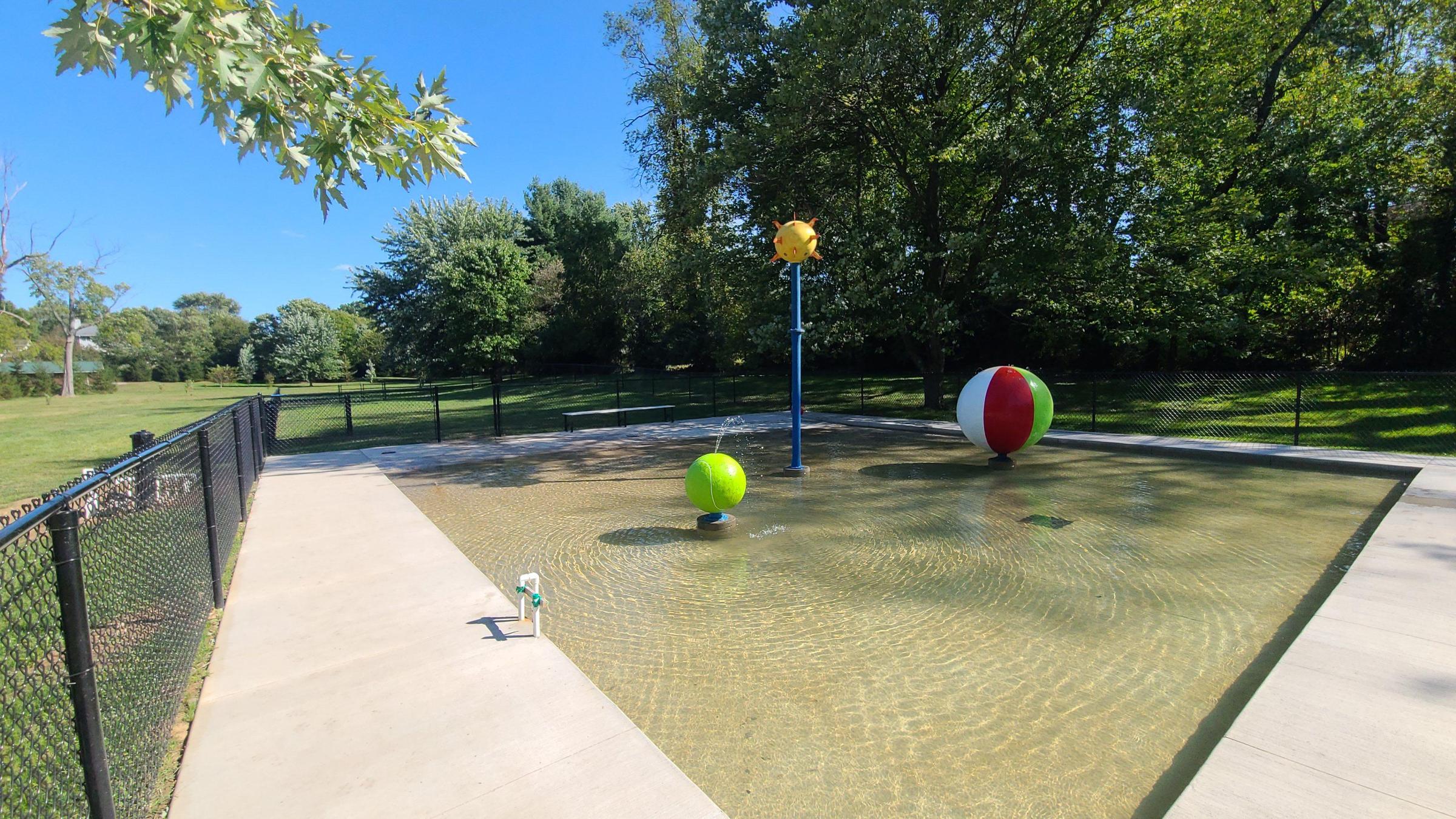 Pet Friendly Clearwater Bark at Yogi Bear's Jellystone Park Camp-Resort: Akron-Canton