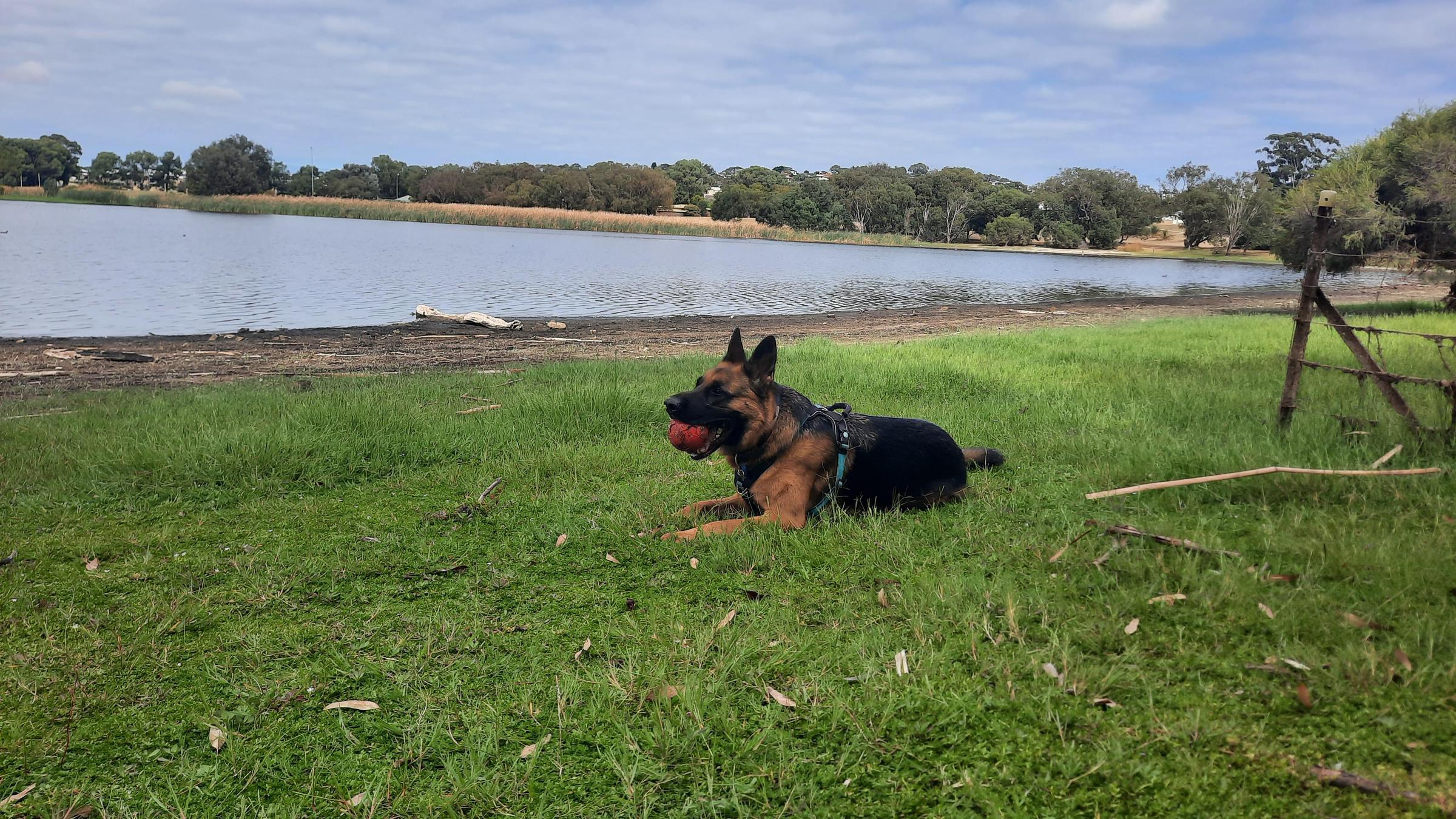 Lake Gwelup Regional Open Space