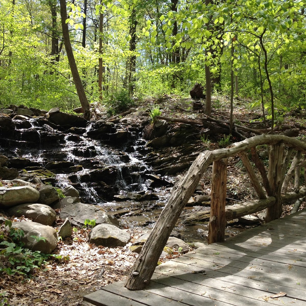 A view of a bridge and waterfall at Locust Grove Estate, a dog-friendly attraction in Poughkeepsie, NY. Photo by Locust Grove Estate.