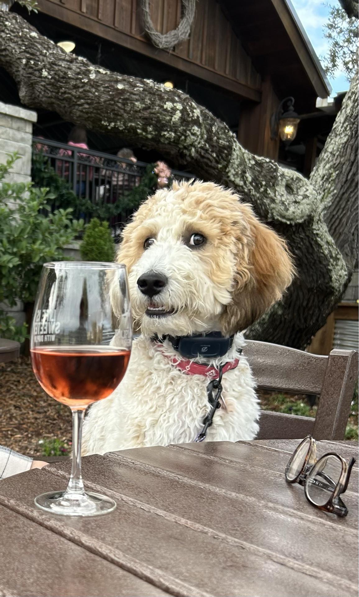 Pet Friendly Duplin Winery