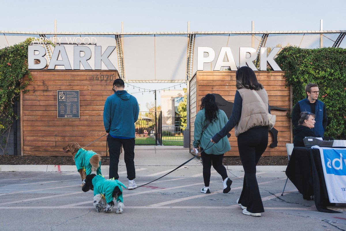 Pups and pet parents attending Spooky Pooch, a pet-friendly event in Farmers Branch, TX.