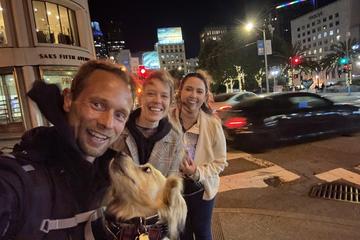 Traveling to Puerto Rico With a Dog: Ultimate Pet-Friendly Guide