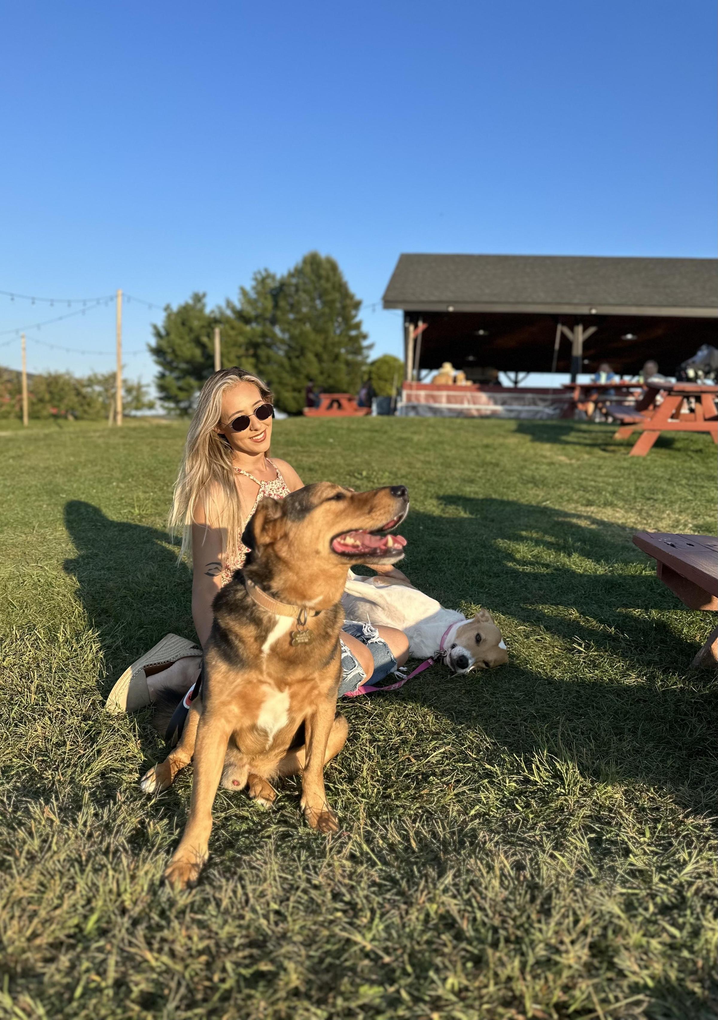 Pet Friendly Peachy Keen Paws