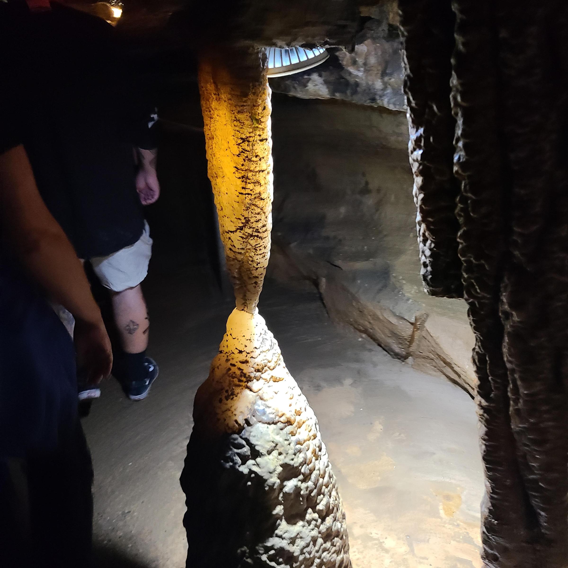 Pet Friendly Raccoon Mountain Caverns and Campground