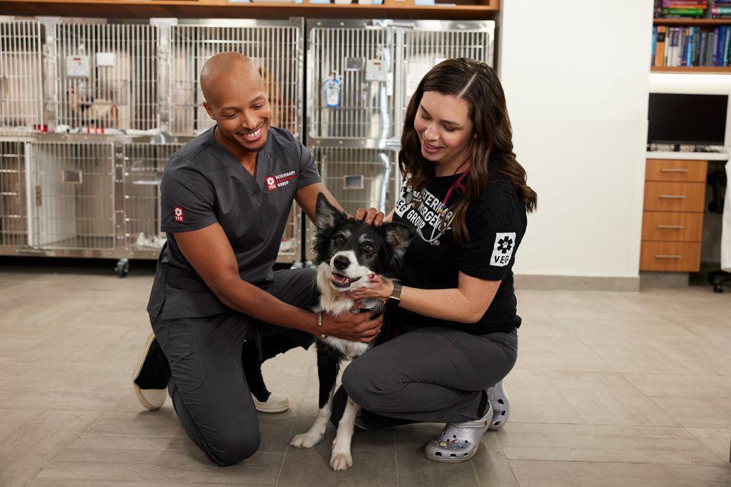 Pet Friendly Veterinary Emergency Group Elk Grove