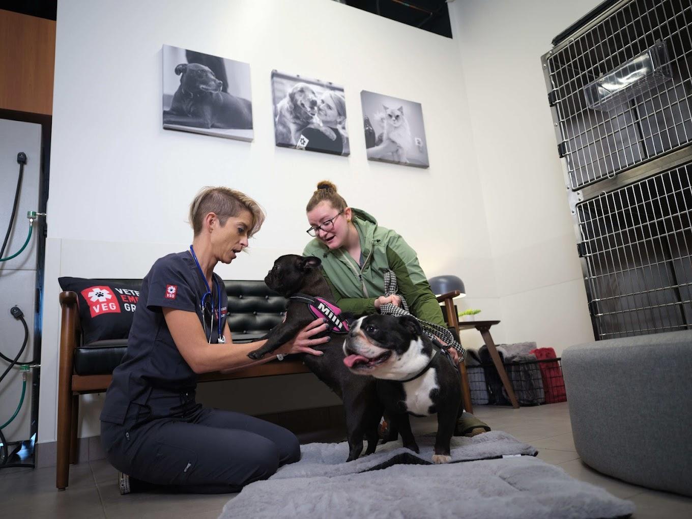 Pet Friendly Veterinary Emergency Group Santa Monica