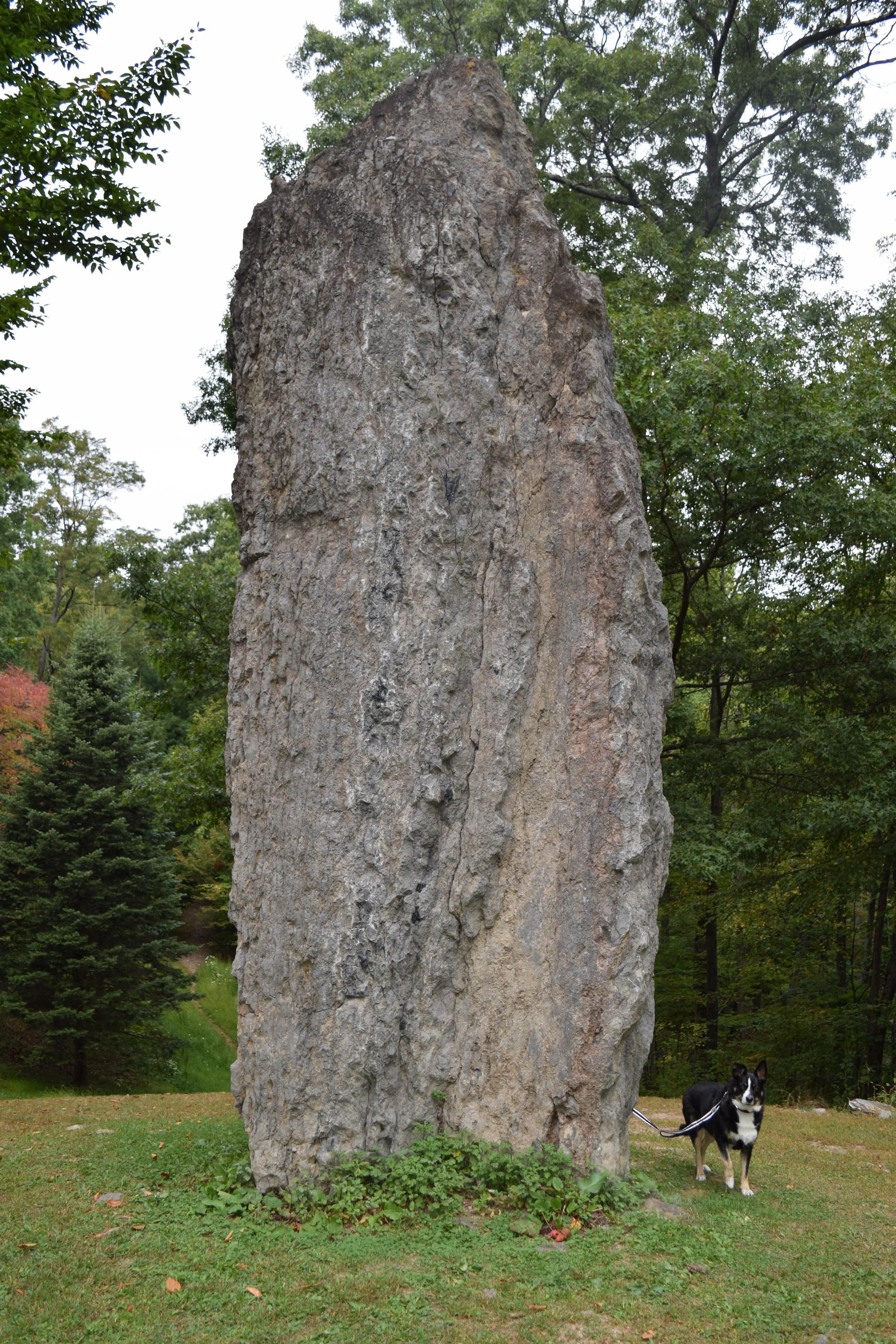 Pet Friendly Columcille Megalith Park