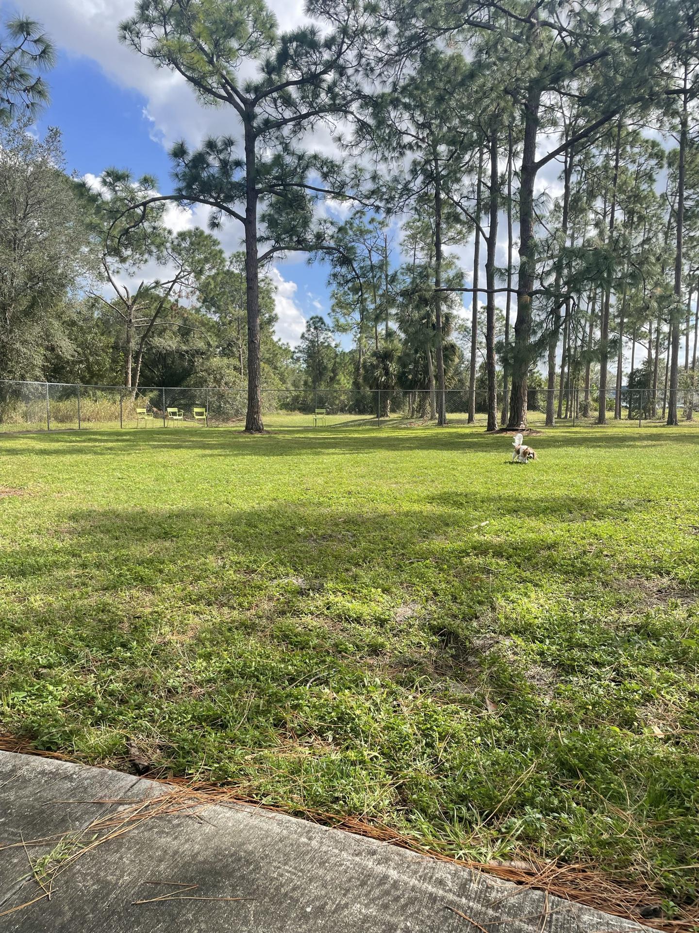 Pet Friendly Paws 4 Duty Dog Park