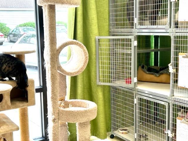 Pet Friendly Baseline Animal Hospital, Boarding & Grooming