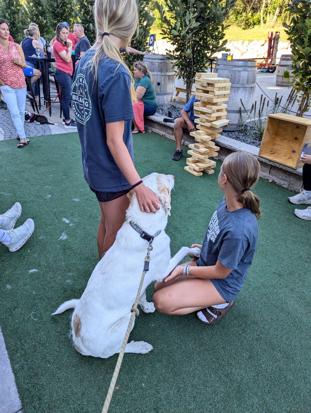 Pet Friendly Nine Mile Brewing