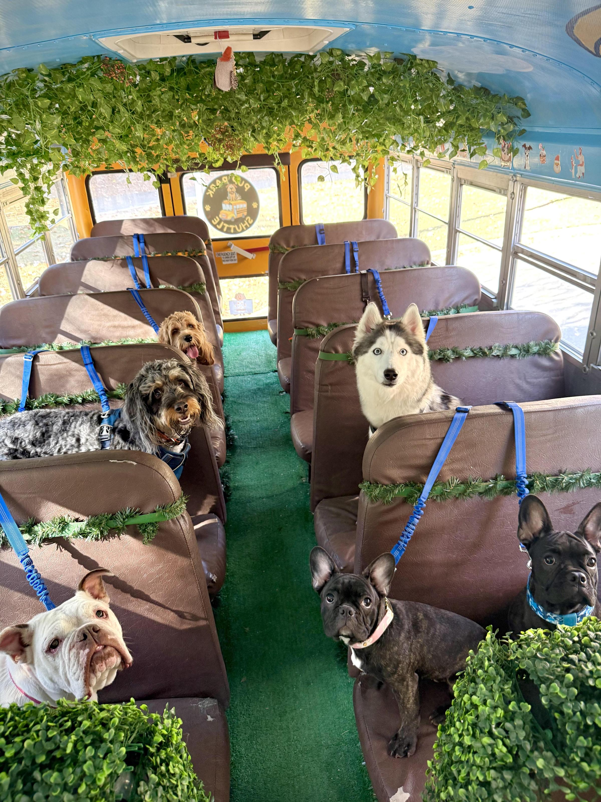 Pet Friendly Pup Park Shuttle