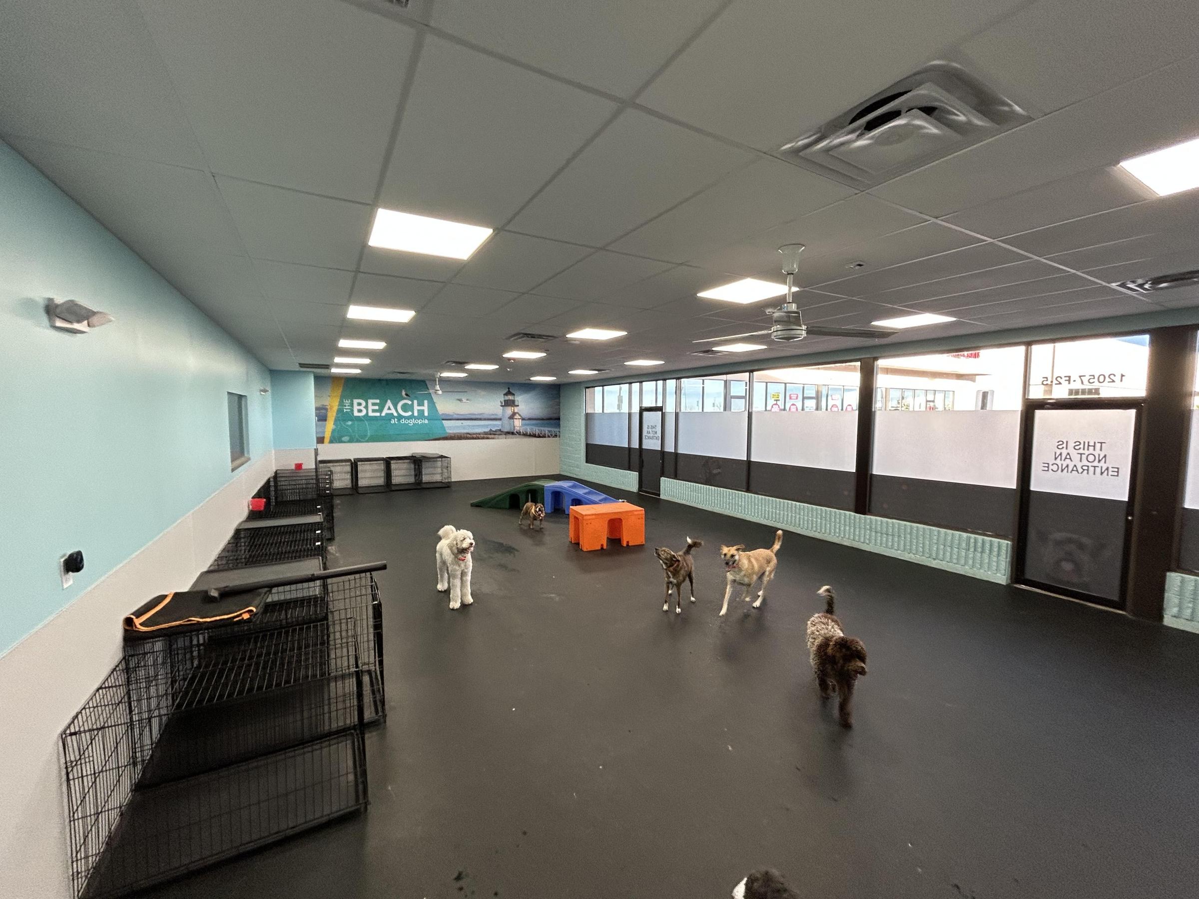 Pet Friendly Dogtopia of Lakewood - Alameda Parkway