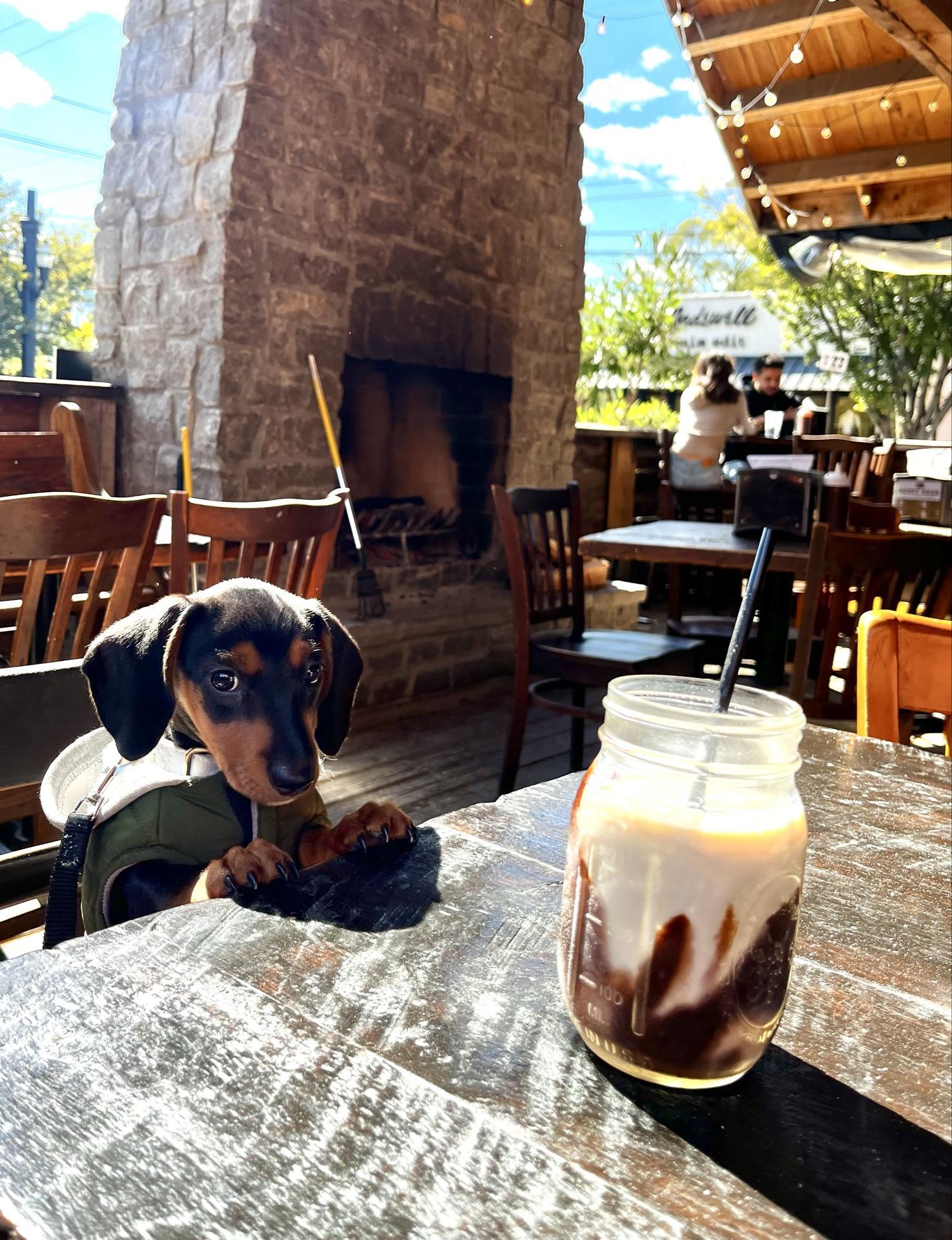 Pet Friendly Edley's Bar-B-Que 12 South