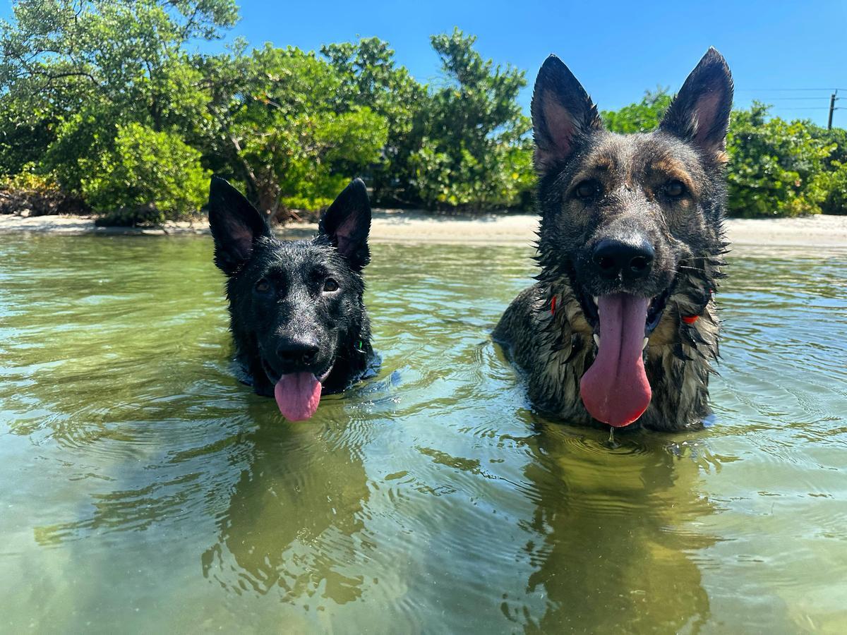 Pet Friendly Coral Cove Park
