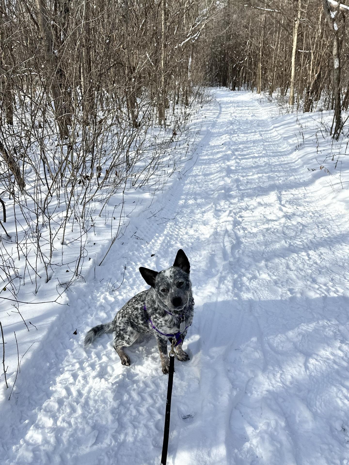 Pet Friendly Clark Reservation State Park