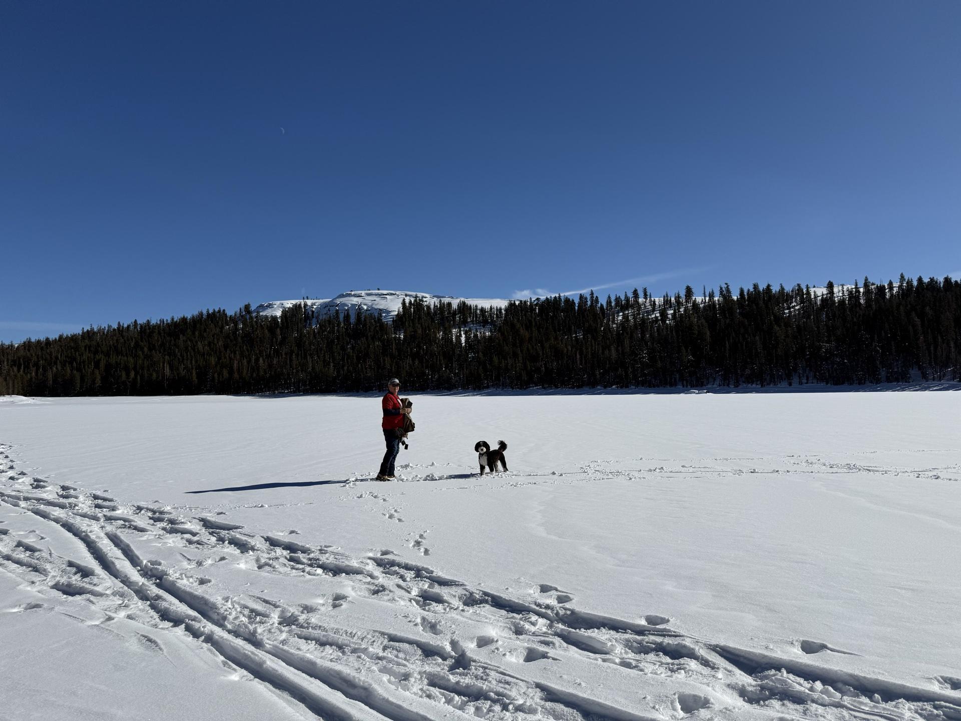 Pet Friendly Lake Alpine SNO-Park