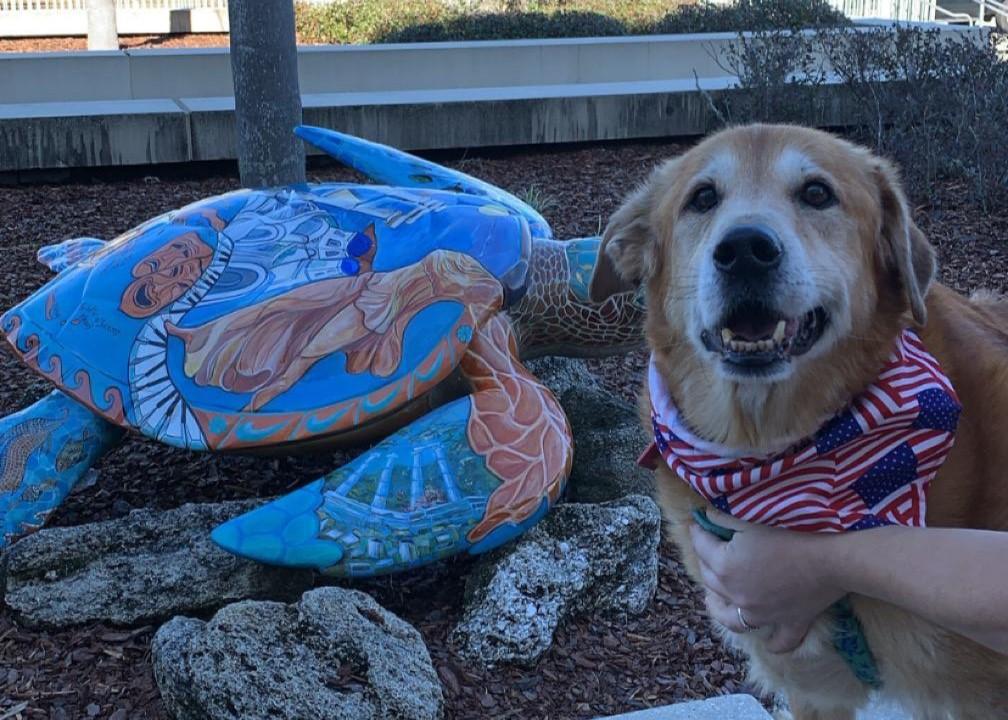 Pet Friendly PCAF Turtle Trail: #11 Winged Victory