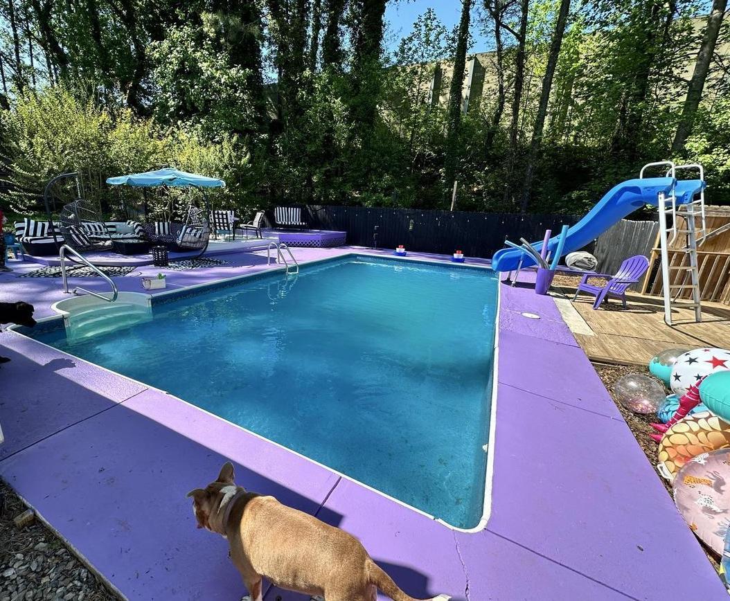 Pet Friendly Zen Cove Pool Rental
