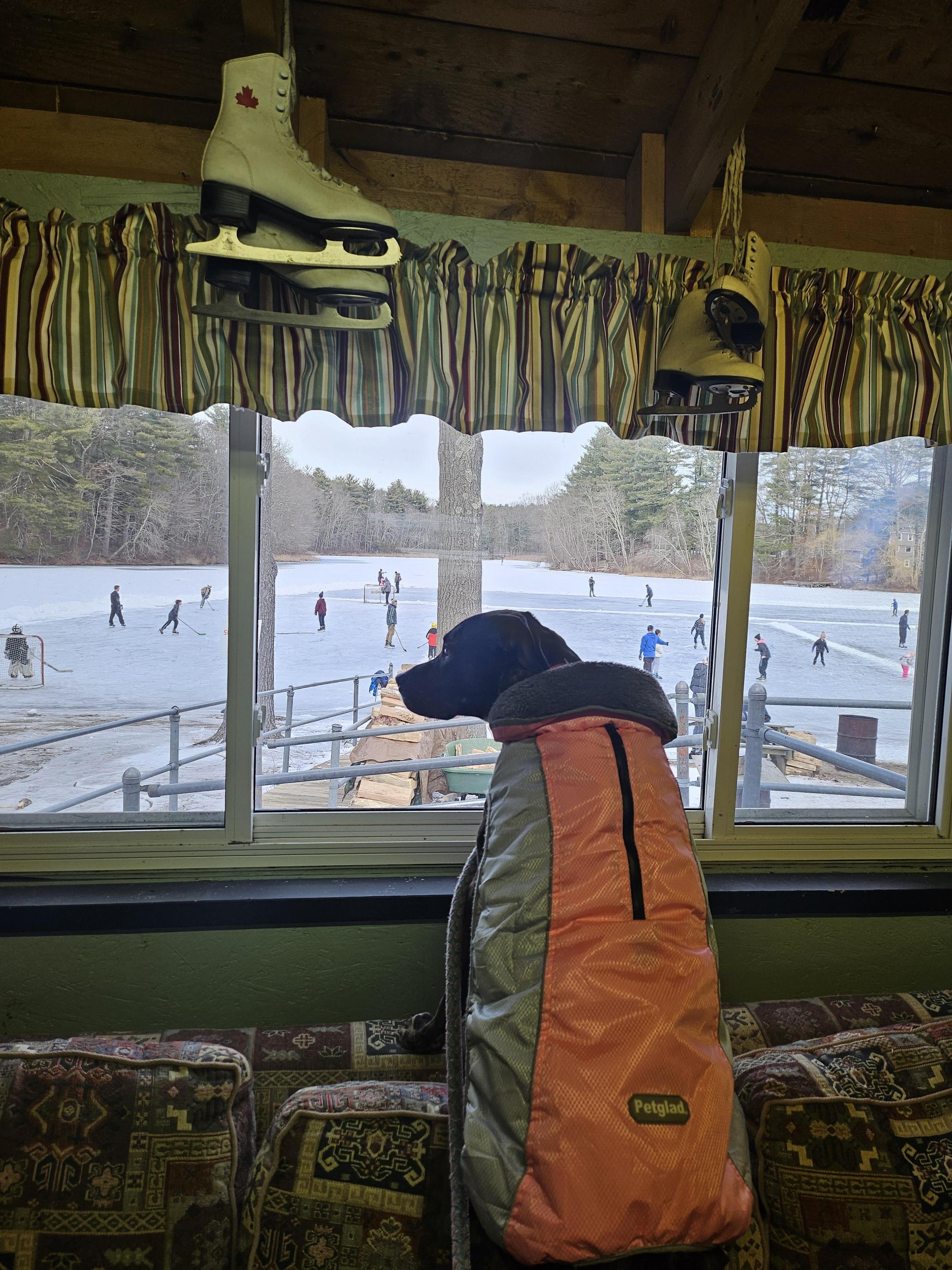 Pet Friendly Walpole Ponds at Turner Lodge