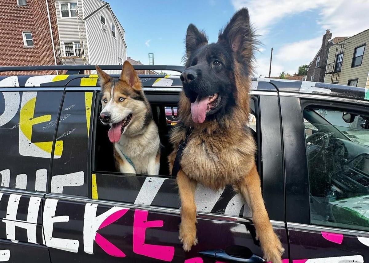 Pet Friendly Where to Pet Dispatch