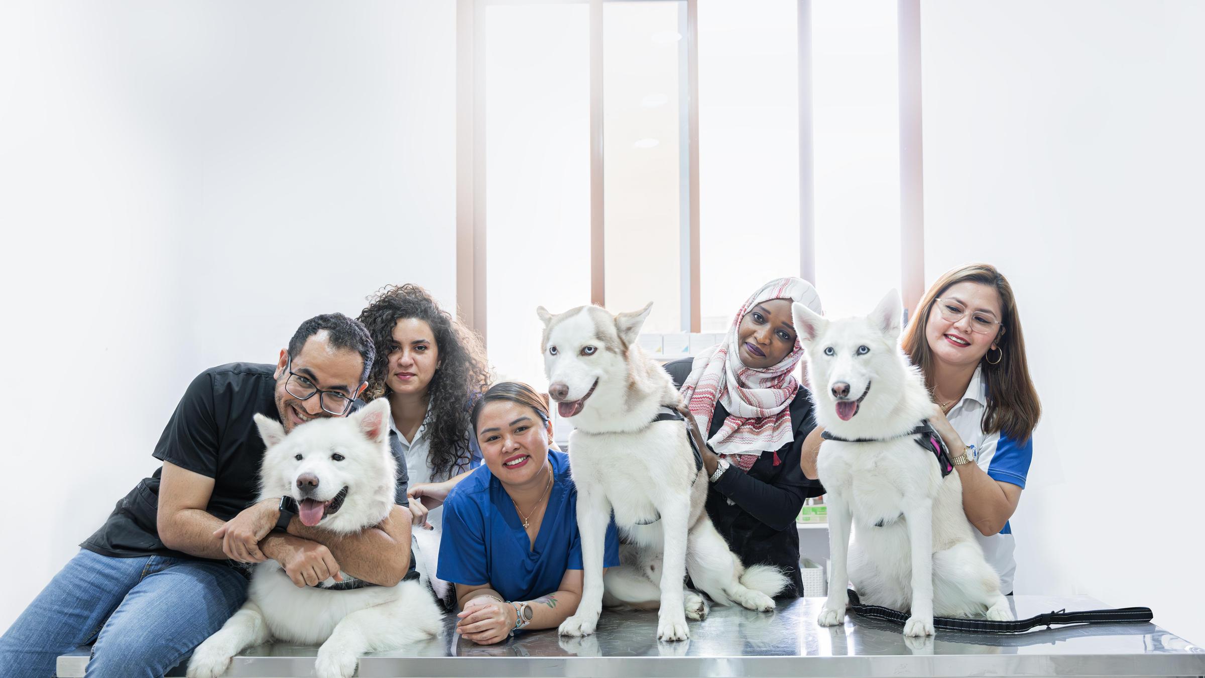 Pet Friendly Amity Veterinary Clinic
