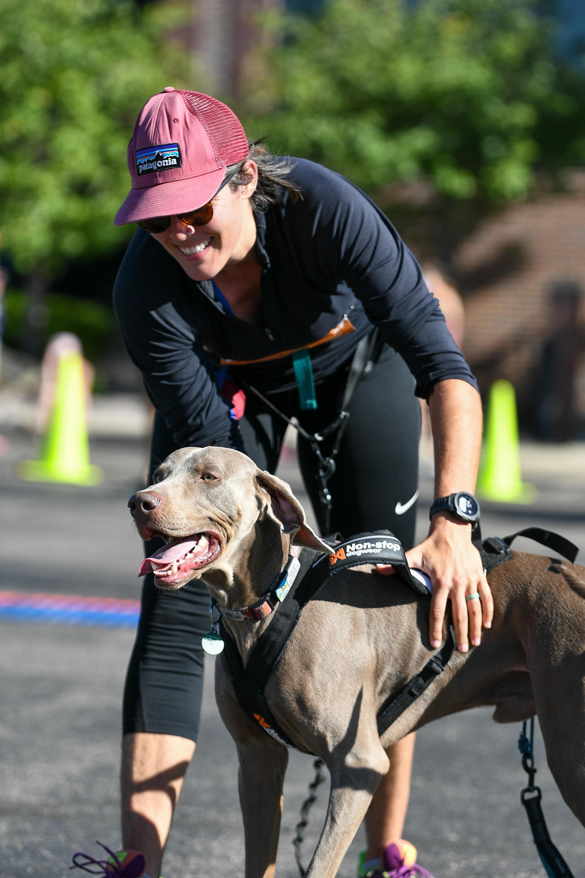 Pet Friendly All-Out Fall Fest