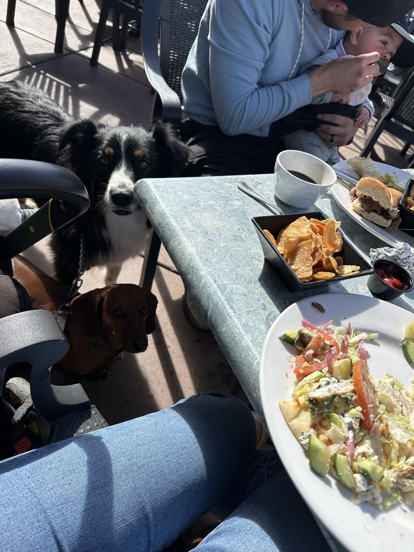 Pet Friendly Wild River Grille