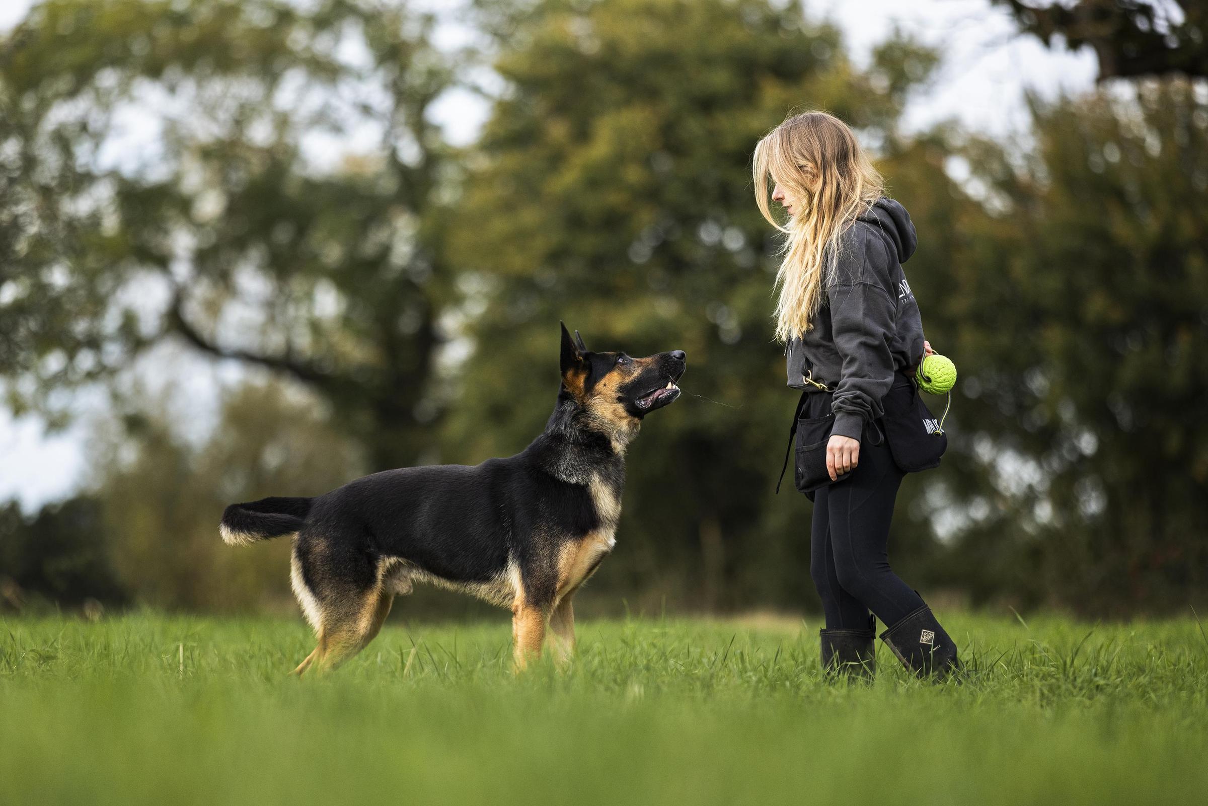 Pet Friendly ASCENDK9