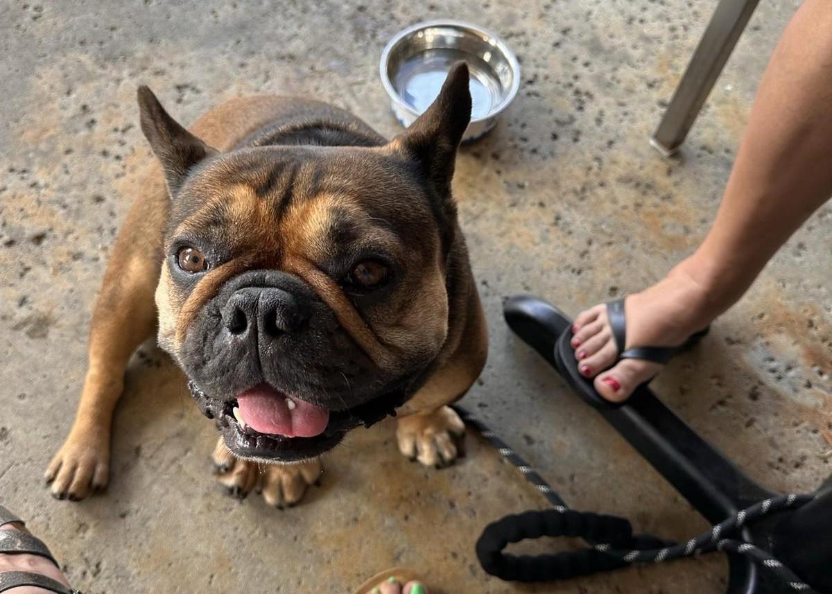 Zest Kitchen and Bar Pet Policy