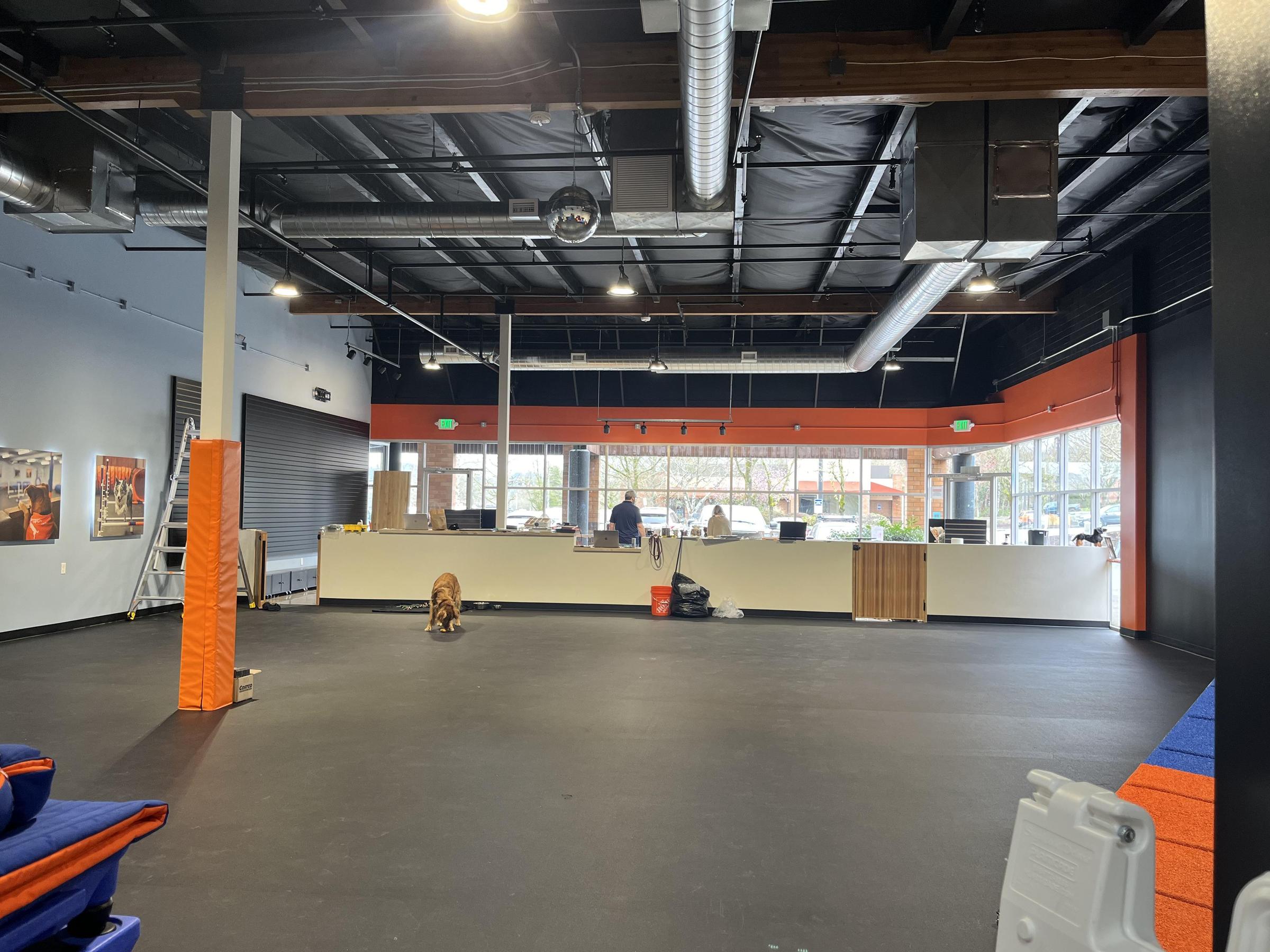 Pet Friendly Zoom Room Dog Training Tualatin