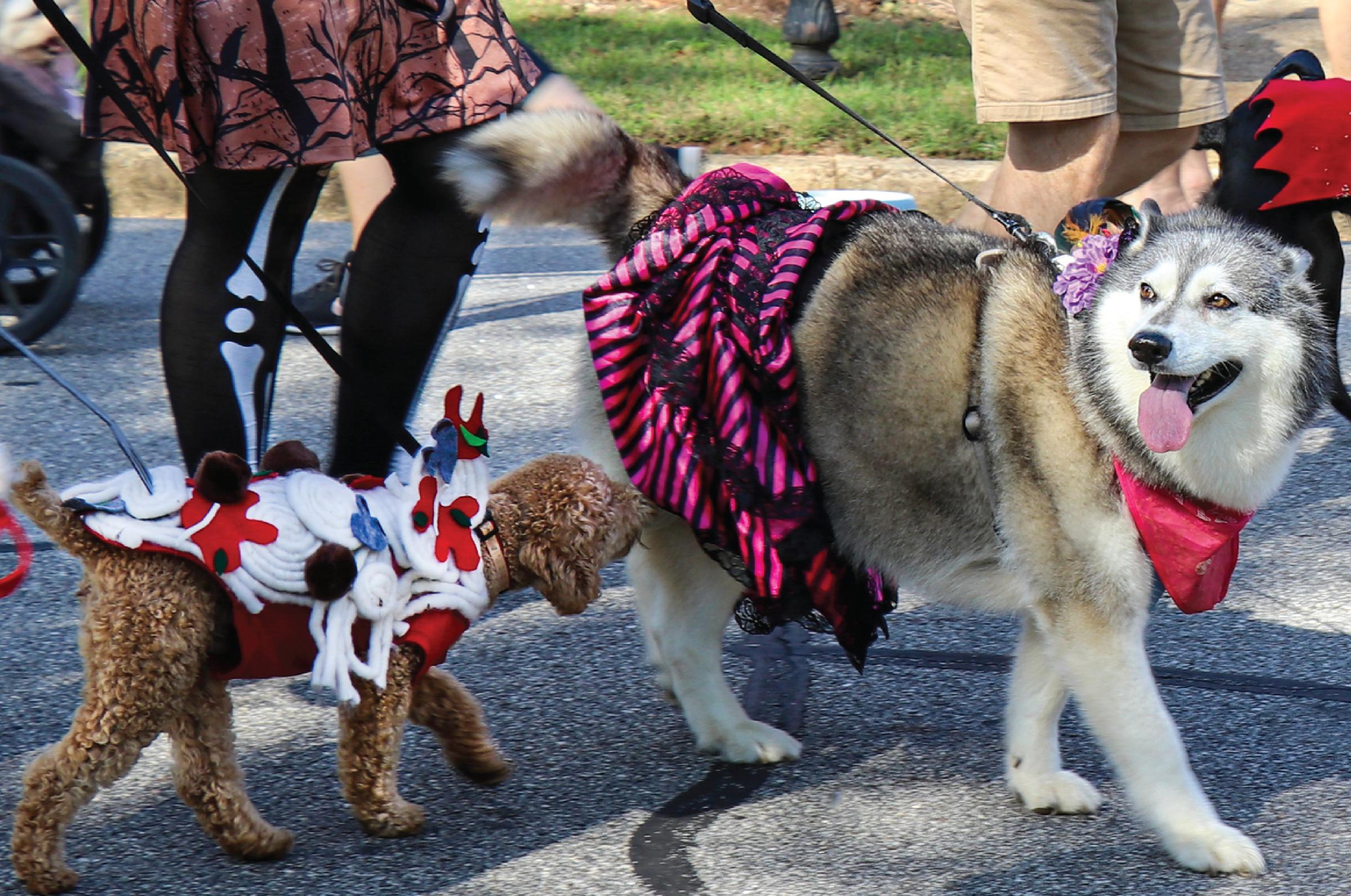 Redmond Pup Crawl - Parade & Grand Finale Event