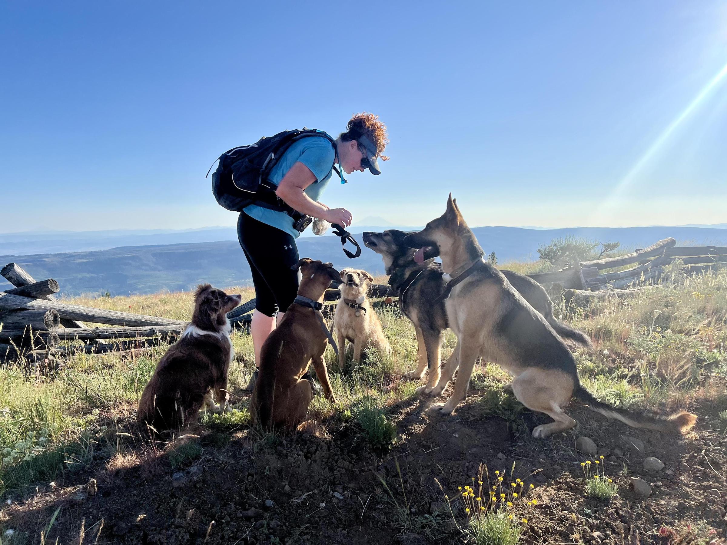 Pet Friendly Mary Puppins Expeditions
